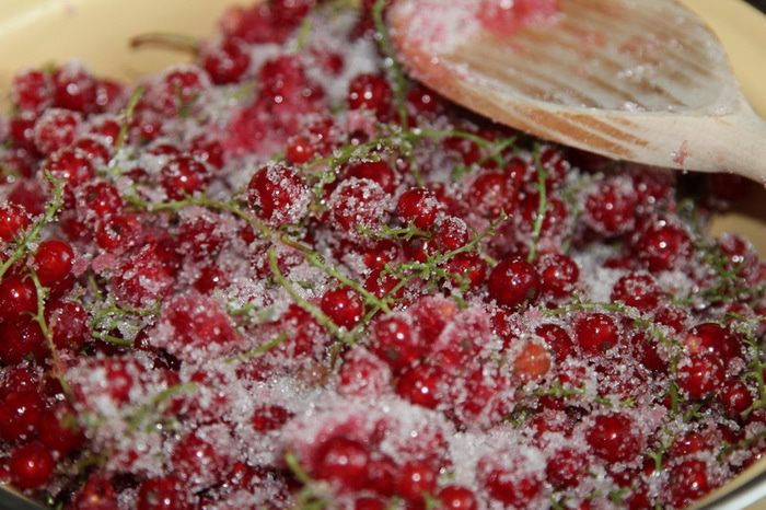 Желе из красной смородины