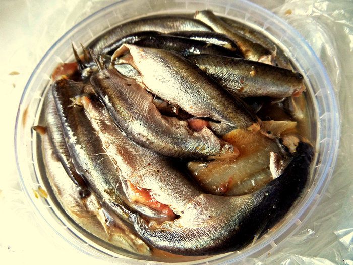 Бутерброд &amp;quot;Килька, картошка, киви&amp;quot;