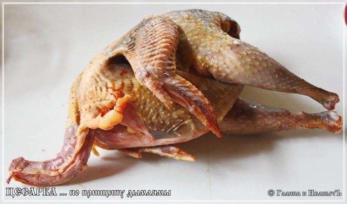Цесарка по принципу дымлямы