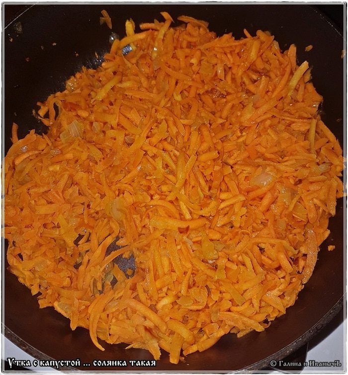 Утка с капустой (солянка)