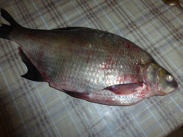 Лещ, запеченный с икрой