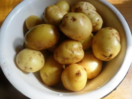 Курица с молодой картошкой в рукаве