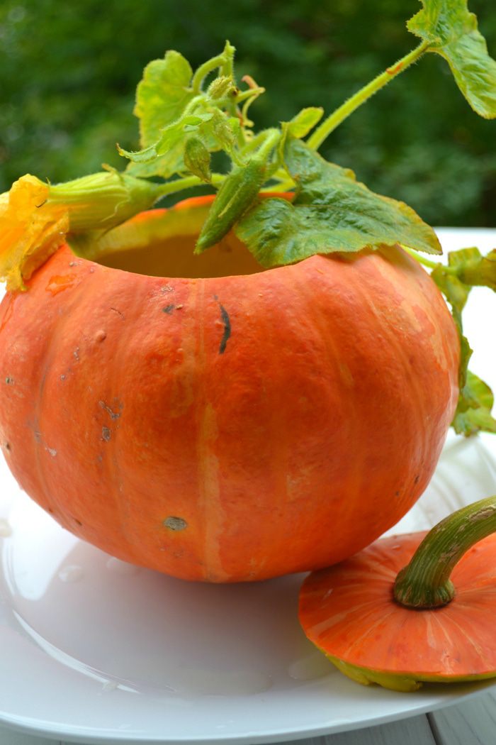 Тыквенный суп-пюре с карамелизованной свеклой и золотистым луком