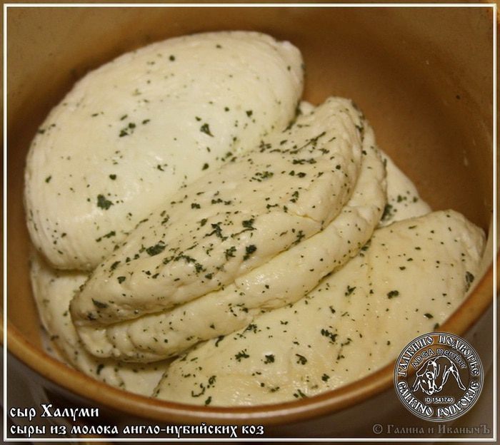 Сыр Халуми и Анари из молока англо-нубийских коз