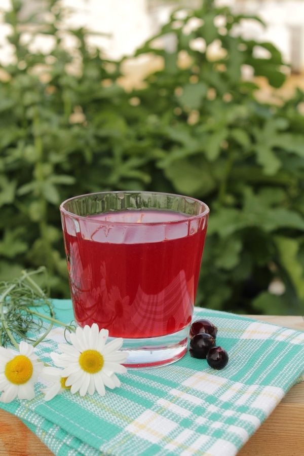 Домашний квас на смородине