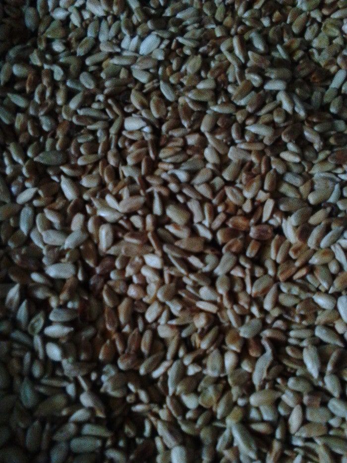 Любимая халва султана