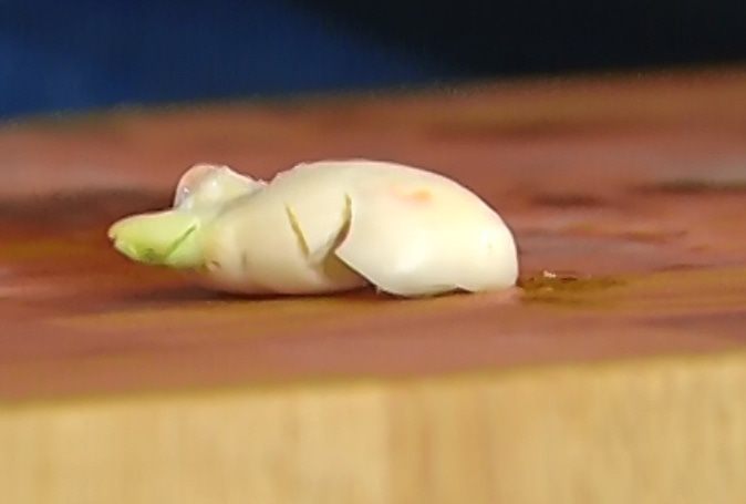 Тортильи с баклажанным соусом 