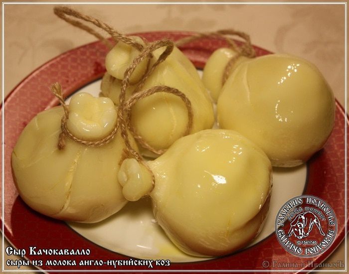 Сыр Качокавалло из молока англо-нубийских коз