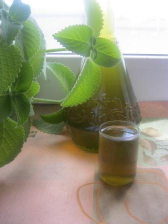 Мятный сироп