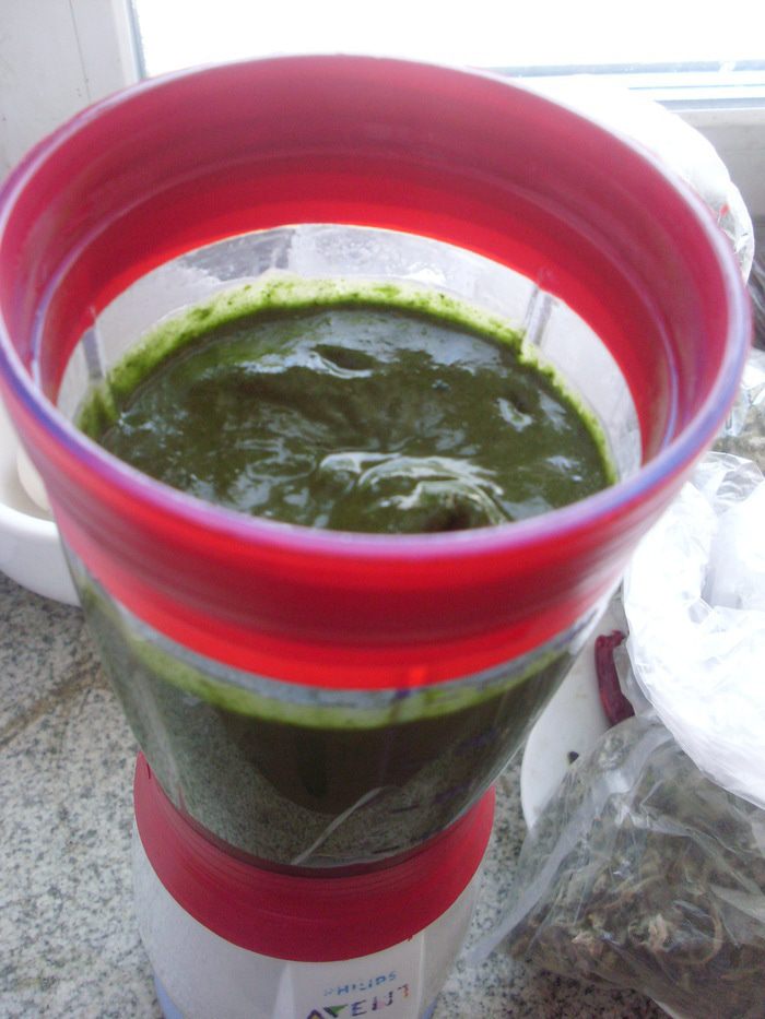 Песто с крапивой