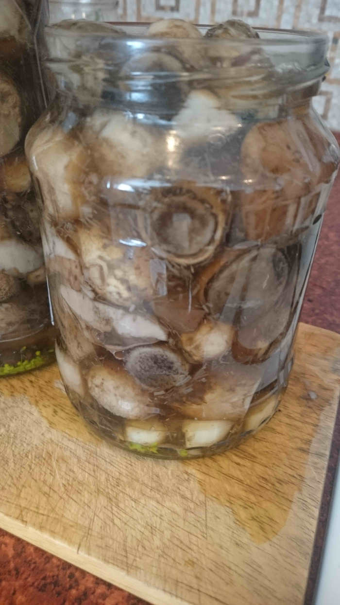 Маринованные подосиновики