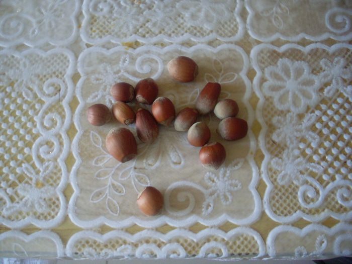 Крем-суп из тыквы с лесным орехом