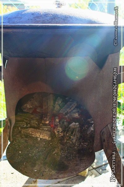 Козлятина с яблочком антоновским и черносливом