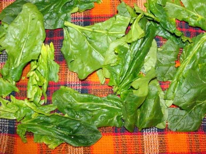 Закусочный торт &amp;quot;Зеленый тирамису&amp;quot;