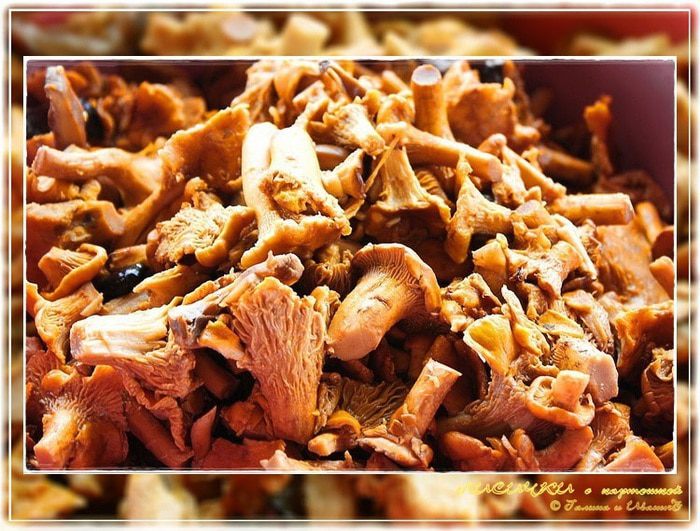 Лисички с картошкой в казане