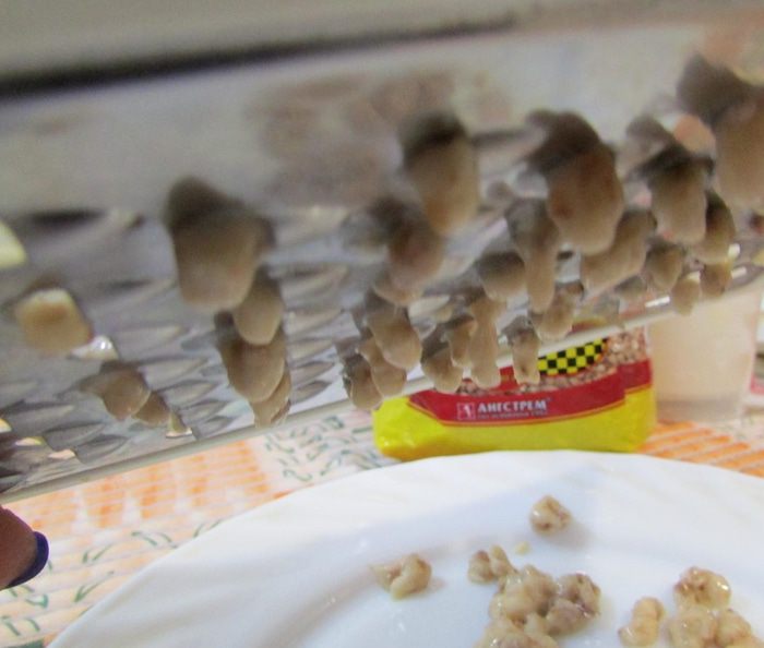 Суп с гречневыми клецками-кнопками