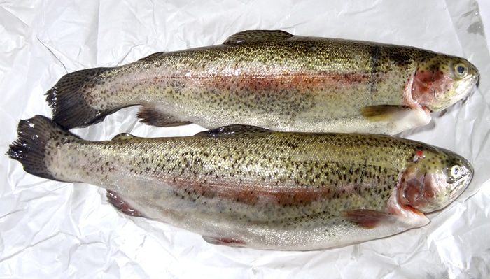 Форель с пряными травами и лимоном