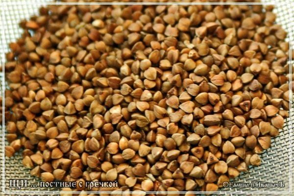 Щи постные с гречкой и квашеной капустой