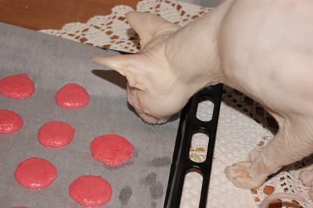 Макароны (Macarons) с белым шоколадом