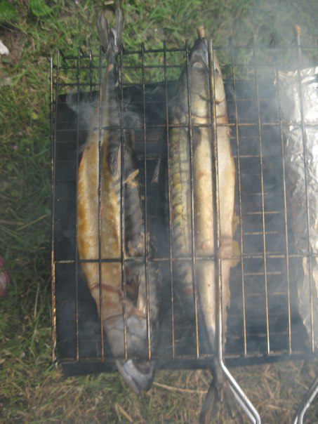 Скумбрия с апельсинами