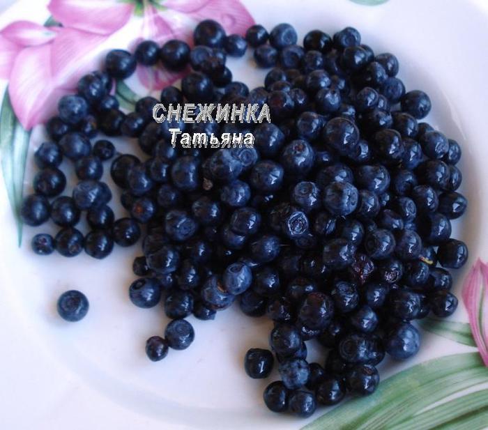 Паштет куриный с черникой