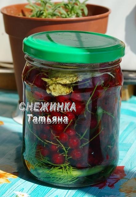 Консервированная красная смородина