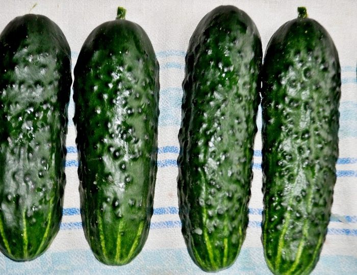 Закуска из огурцов, фаршированных горбушей