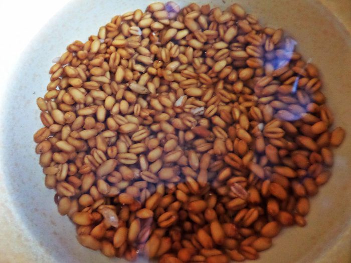 Рождественская кутья из пшеницы