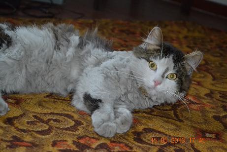 Чесночные крендельки