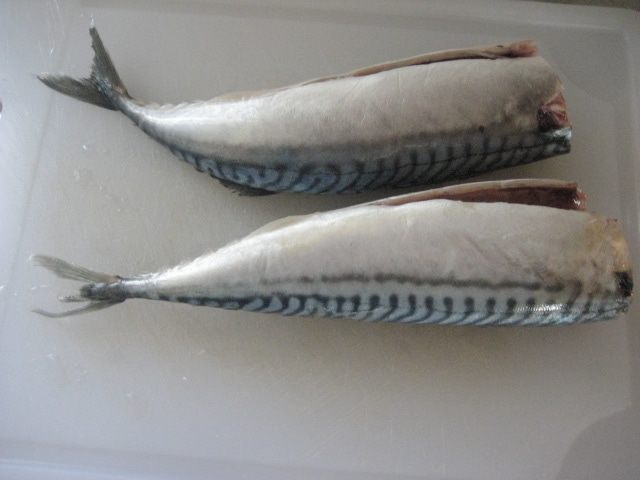 Рийет из скумбрии