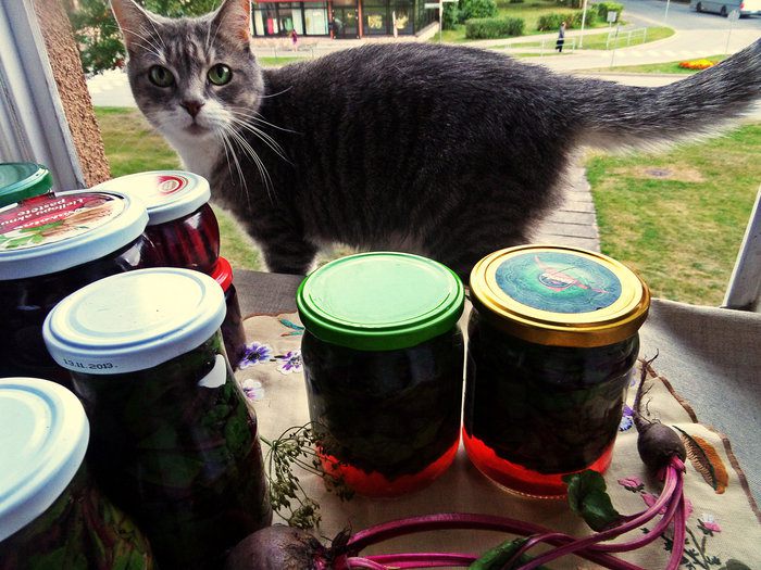 Маринование свекольных стебельков