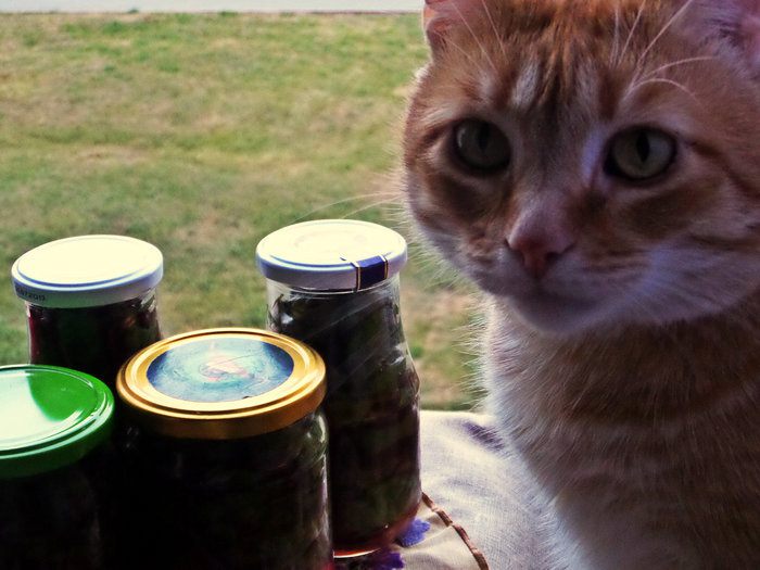 Маринование свекольных стебельков