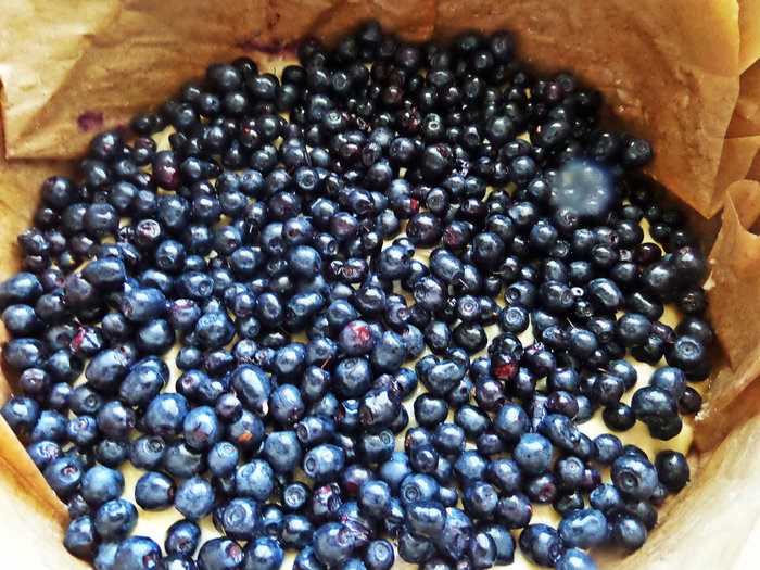 Пирог бисквитный с черникой