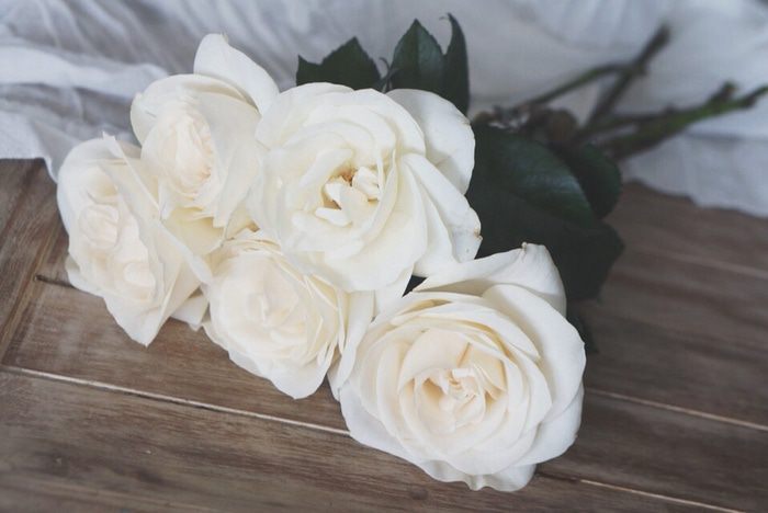 Торт &amp;quot;Птичье молоко&amp;quot;