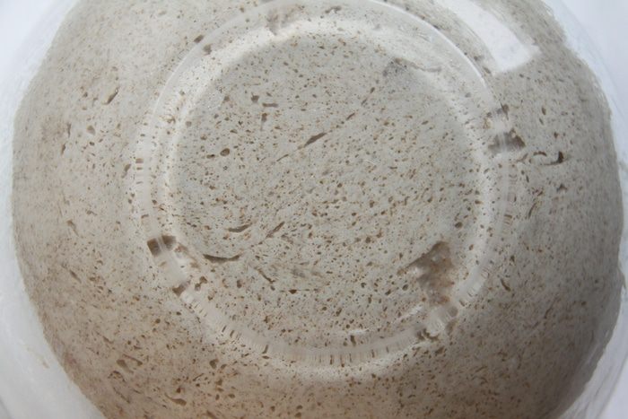 Шведский брусничный хлеб (Lingonbröd)