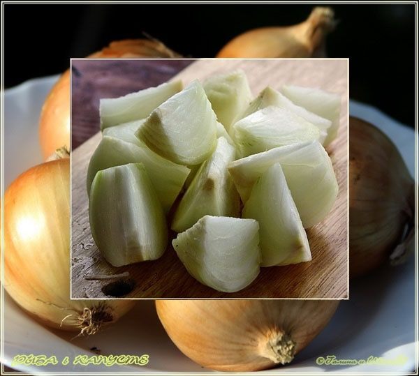 Рыба в капусте