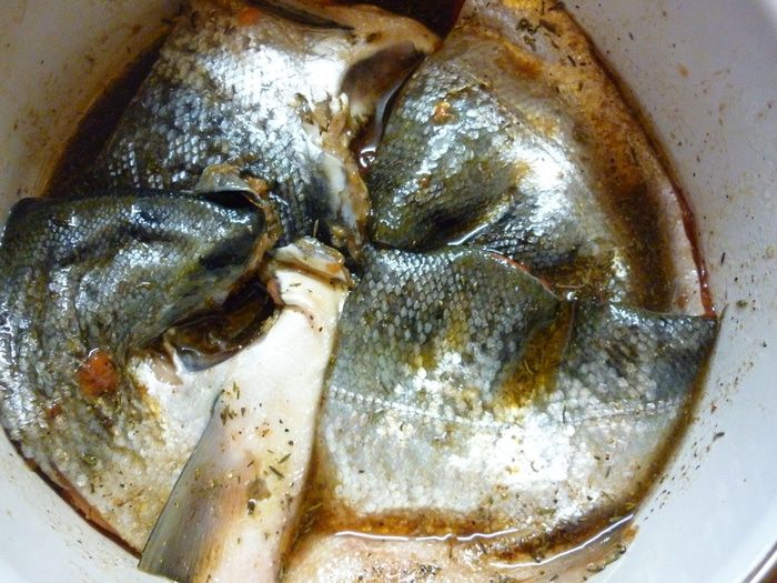 Рыба красная &amp;quot;Прекрасная&amp;quot;