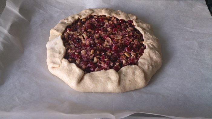 Галета с клюквой на творожном тесте