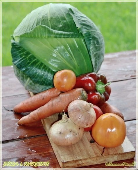 Рыба в капусте