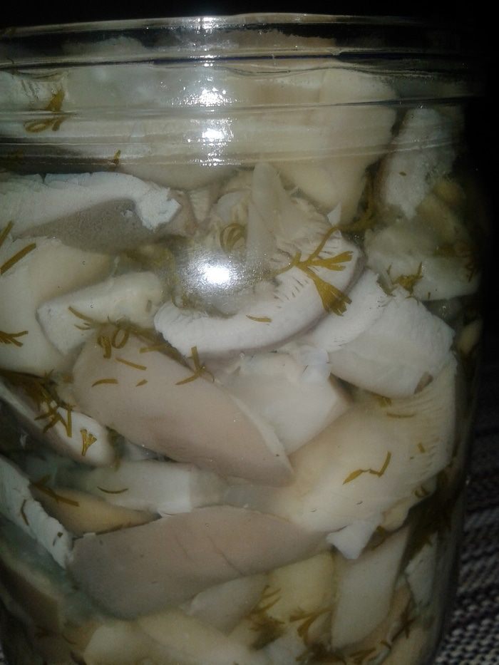 Маринованные грибочки по-домашнему