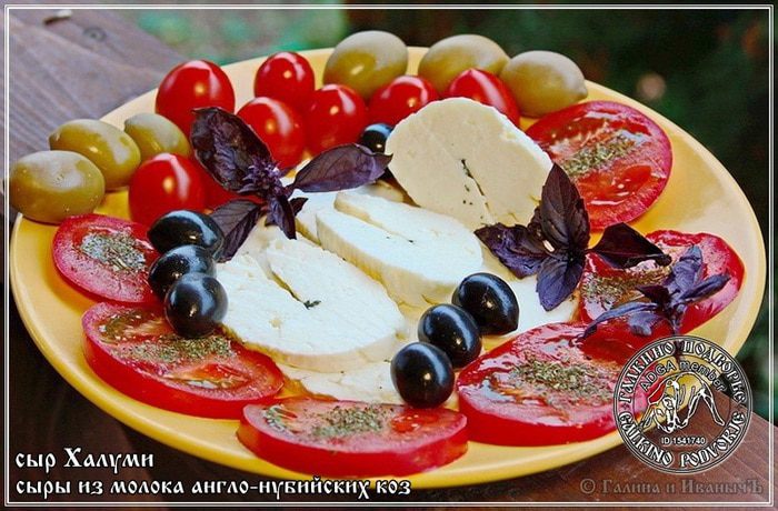 Сыр Халуми и Анари из молока англо-нубийских коз