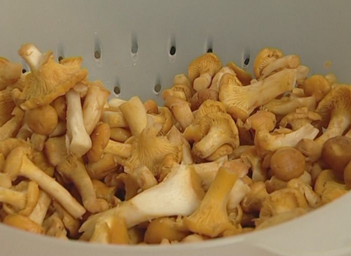 Фриттата с лисичками