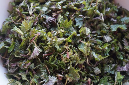 Зеленый борщ с крапивой 