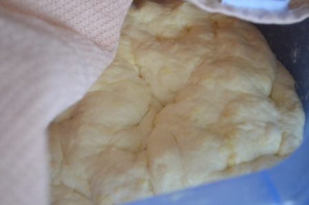 Плетенка с капустой, яйцом и красным луком