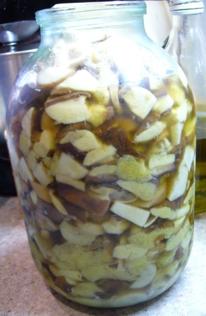 Солянка с белыми грибами (на зиму)