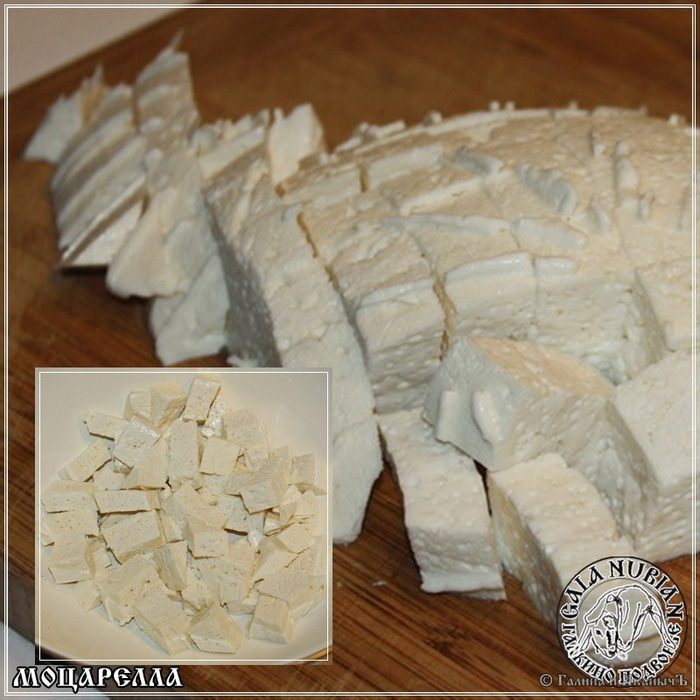 Моцарелла из молока англо-нубийских коз