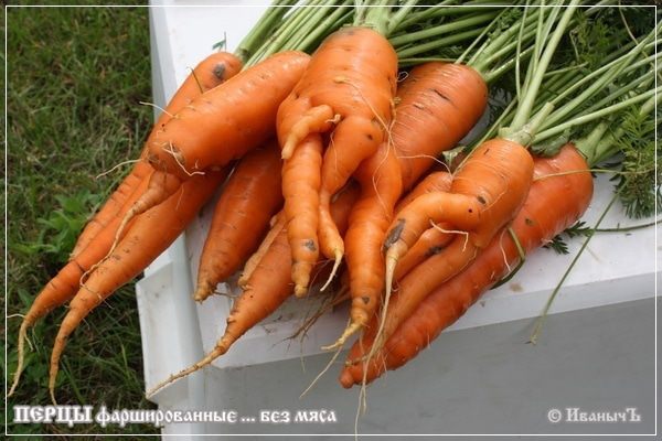 Перцы фаршированные