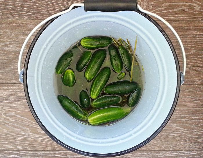 Бочковые огурцы в банках