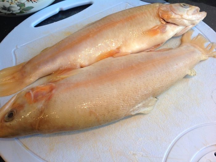 Форель янтарная