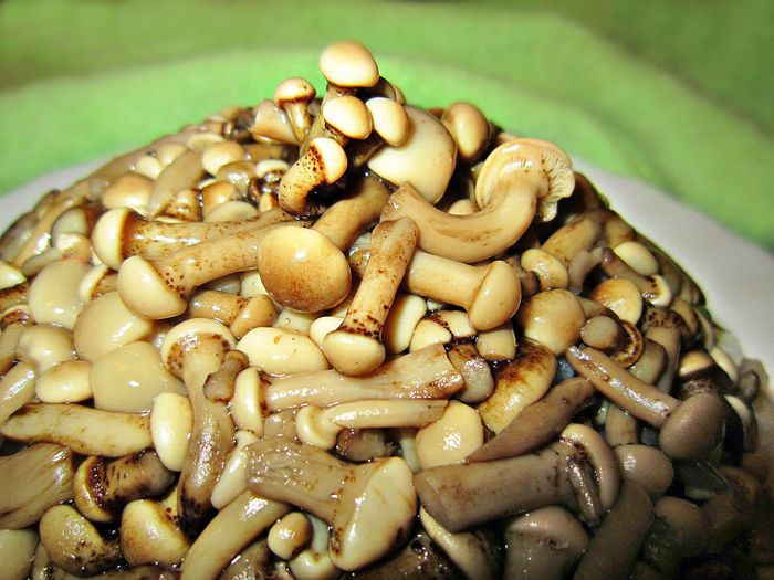 Салат &amp;quot;Грибная поляна&amp;quot;